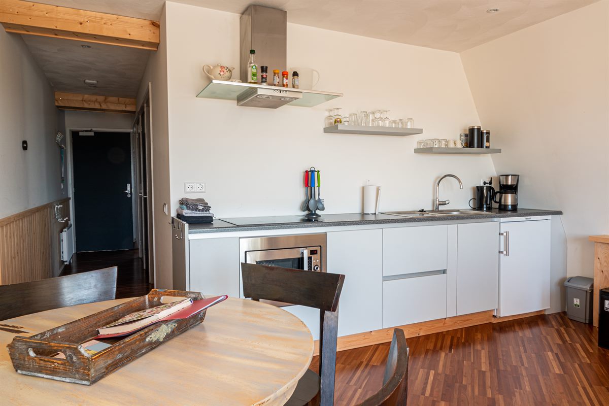 Keuken van Appartement 4T4 C
